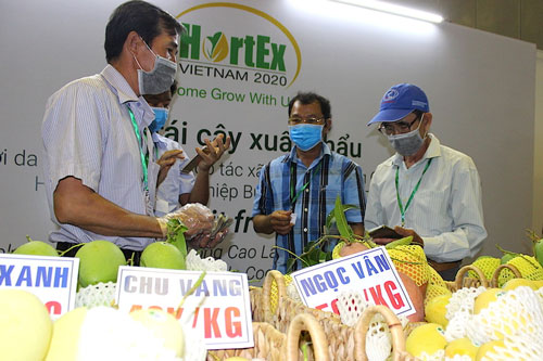 Doanh nghiệp vẫn khổ vì 'bóng ma' Covid