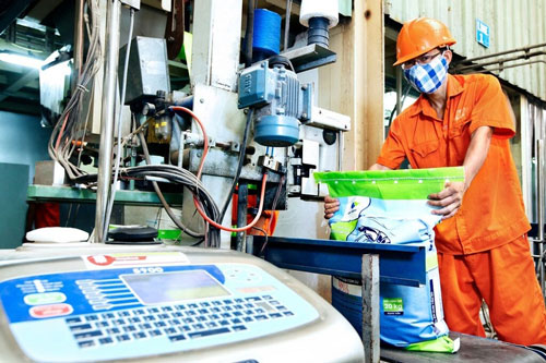 Thị trường thức ăn chăn nuôi Việt Nam dự kiến tăng trưởng kép 5,06%/năm