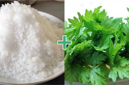 Mua mớ rau ngải cứu về rang với muối, có ngay công thức chữa bệnh đơn giản được lưu truyền nhiều đời