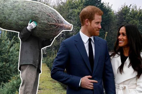 Meghan và Harry gặp sự cố muối mặt khi rậm rịch đón Giáng sinh ở Mỹ thay vì về Anh đoàn tụ với gia đình