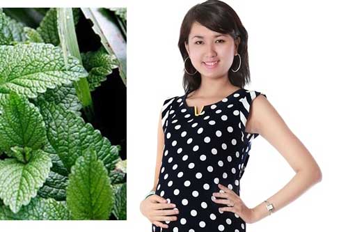 Bà bầu ăn rau kinh giới được không?