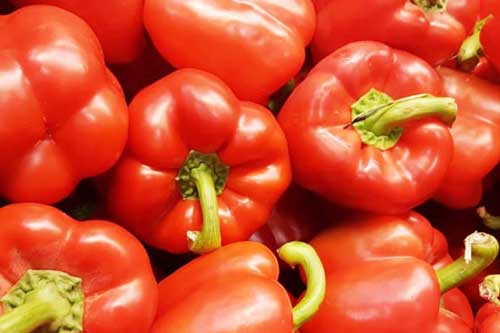 Ớt chuông đỏ - liều thuốc thiên nhiên hỗ trợ chứng thiếu máu, giảm thị lực