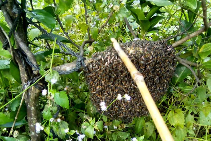 Top những trò chơi nổi tiếng của thế hệ 8x, 9x Việt Nam 