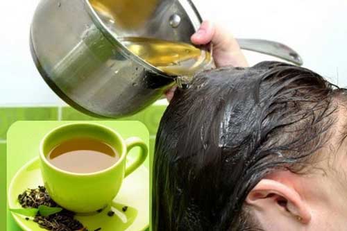 Chăm sóc tóc mùa đông bằng trà xanh