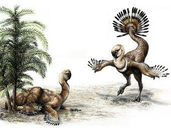 Khủng long cũng vẫy đuôi khi ve vãn 'bạn tình'