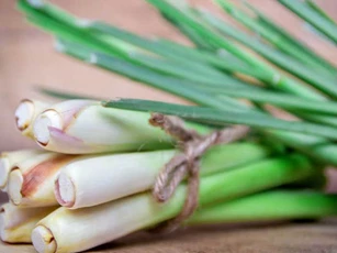 Mất ngủ đến mấy cũng ngủ ngon, ngủ sâu tới sáng nhờ dùng sả theo cách này