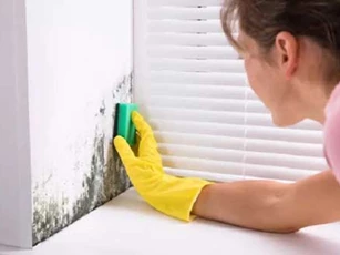 3 cách đơn giản loại bỏ nấm mốc trong nhà