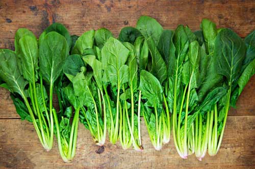 5 nhóm thực phẩm giàu Canxi giúp tăng chiều cao, xương chắc khỏe