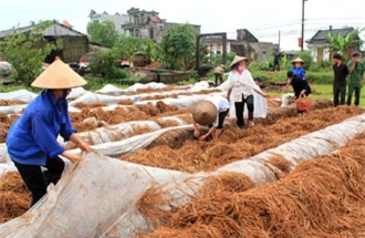  Kỹ thuật trồng nấm đầu tiên phải kể tới đó là công đoạn ủ rơm. Ảnh minh họa