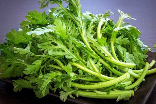 Đau đầu, ho nhiều khi tiết trời lạnh: Chuyên gia khuyên nên bổ sung ngay loại rau này vào bữa ăn