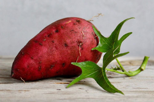 Sai lầm nguy hiểm nếu ăn khoai lang theo những cách này