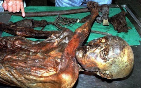 Phát hiện vết máu của người băng Otzi