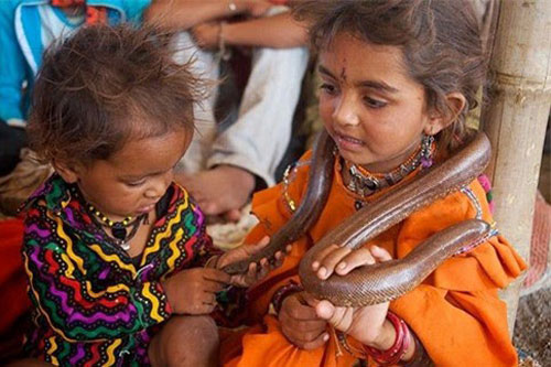 Bí ẩn bộ tộc ăn, ngủ, ở cùng... rắn độc