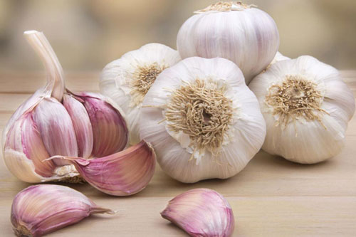 Thử đặt tỏi dưới gối ngủ, bạn sẽ thấy điều thần kỳ khi thức dậy