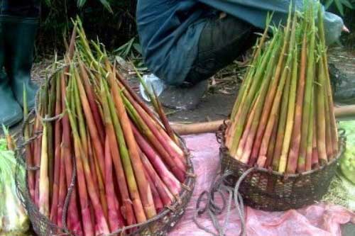 Những món đặc sản Bắc Kạn đừng nên bỏ lỡ