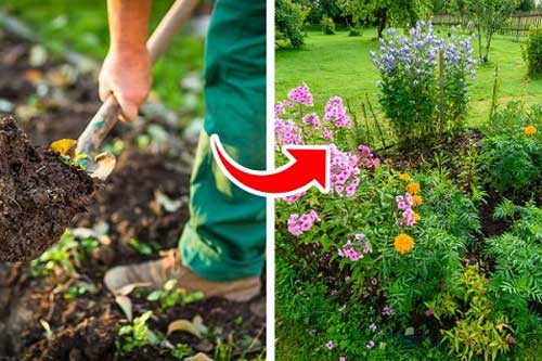 5 mẹo nhỏ từ baking soda tạo không gian xanh cho vườn nhà