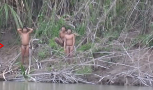 Hình ảnh "độc" về bộ lạc người rừng cố giao tiếp với bên ngoài