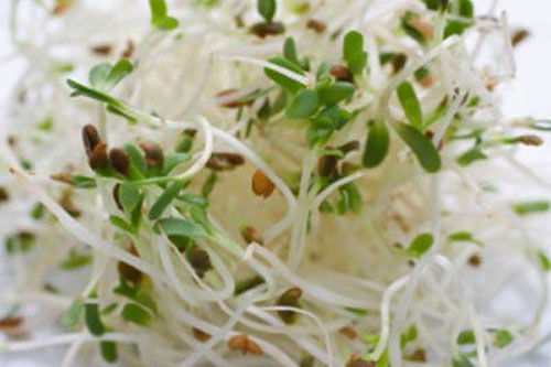 Ẩn họa từ các loại thực phẩm quen thuộc