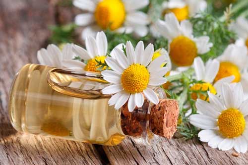 Mẹo dưỡng da trắng sáng, mịn màng với mặt nạ hoa cúc