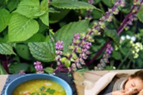 5 cách trị cảm cúm cho bà bầu cực hiệu quả không cần thuốc