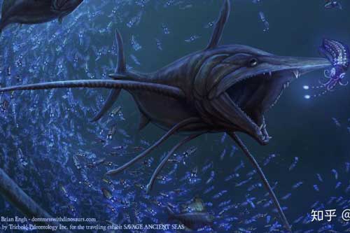 Phát hiện loài "cá kiếm" cổ đại với hàm răng sắc nhọn ngoại cỡ