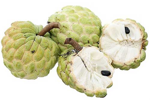 Bí quyết chọn quả na vừa ngon, dày cùi lại không ủ thuốc