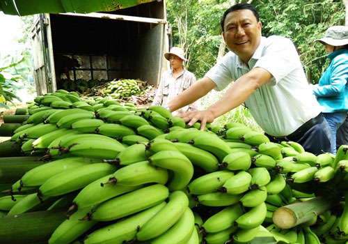 Xu&#x1EA5;t kh&#x1EA9;u rau qu&#x1EA3; &#x27;ch&#x1EA1;y n&#x1B0;&#x1EDB;c r&#xFA;t&#x27; sang Trung Qu&#x1ED1;c