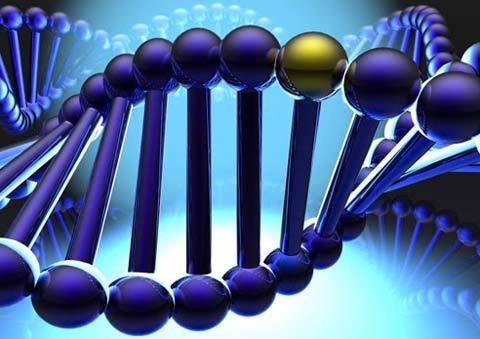 Những bí mật ẩn chứa trong bộ gen người