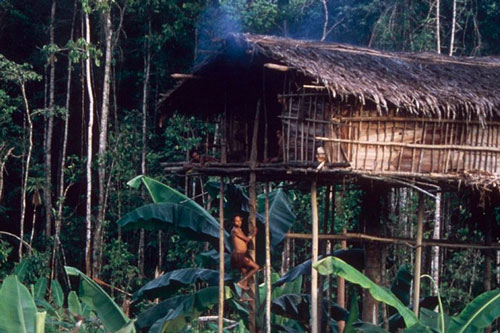 Kinh hãi bộ tộc 'ăn thịt người' duy nhất còn sót lại trên trái đất