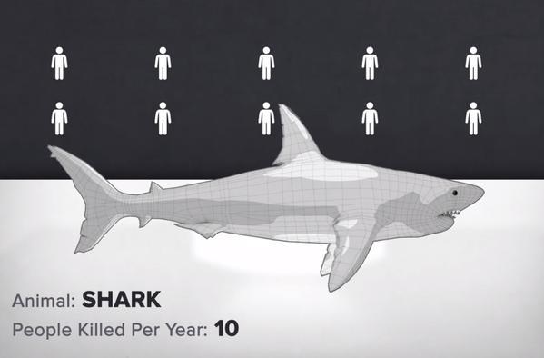 Loài động vật nào nguy hiểm nhất thế giới?