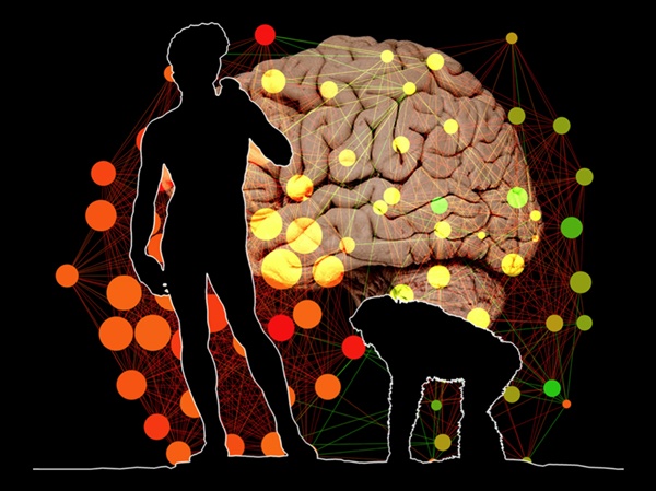 Loài người đang ngày càng 'ngu' đi?