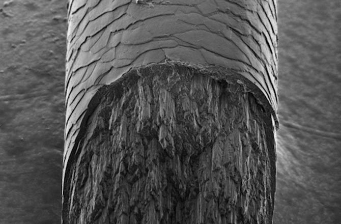 Phát hiện thành phần bí ẩn của tóc