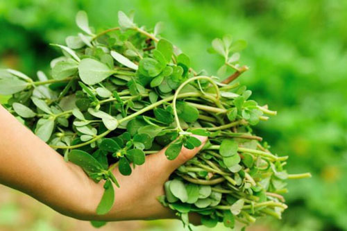 Mẹ bầu nên kiêng ăn rau gì?