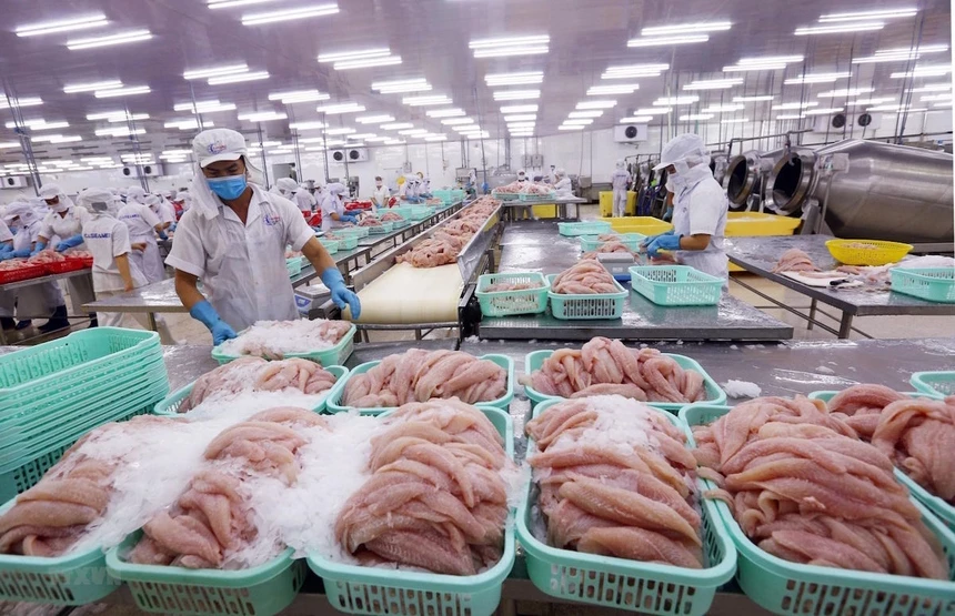 Thị trường Trung Quốc tăng cường kiểm soát hàng thủy sản đông lạnh nhập khẩu.
