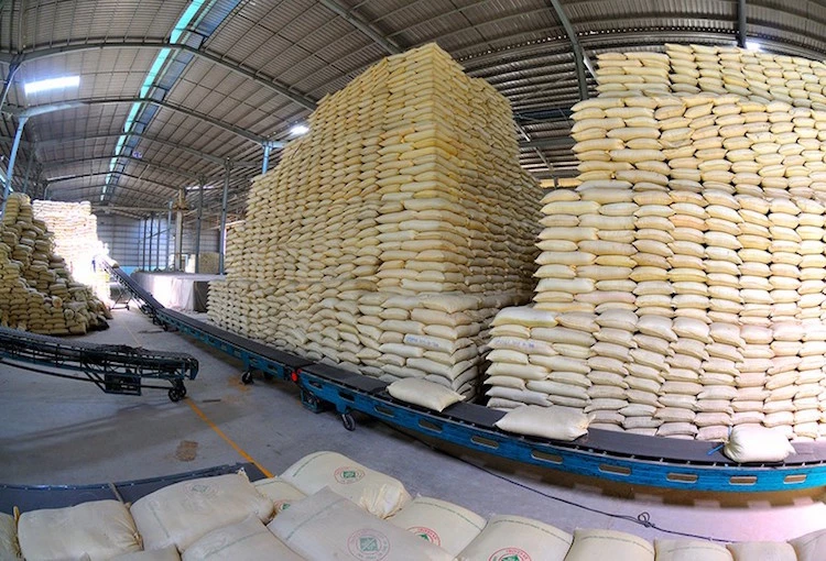 Giá gạo xuất khẩu của Việt Nam cao hơn Thái Lan và Ấn Độ (Ảnh: Int) 