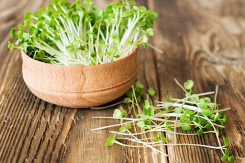 7 thực phẩm dù ngon cũng không nên ăn sống