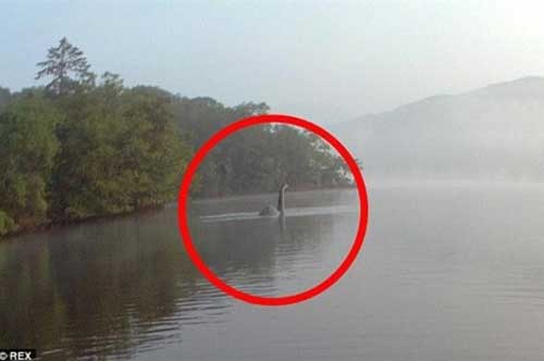 Quái vật hồ Loch Ness huyền thoại đã xuất hiện trở lại tại Anh?