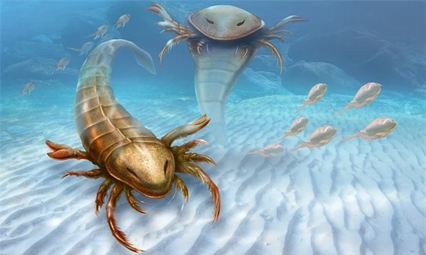 Loài quái vật biển này thường sinh sống dưới đáy biển cách đây gần 500 triệu năm