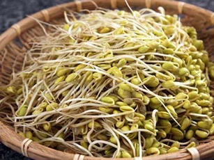Bài thuốc dân gian chữa chứng đi tiểu nhiều lần an toàn, hiệu quả