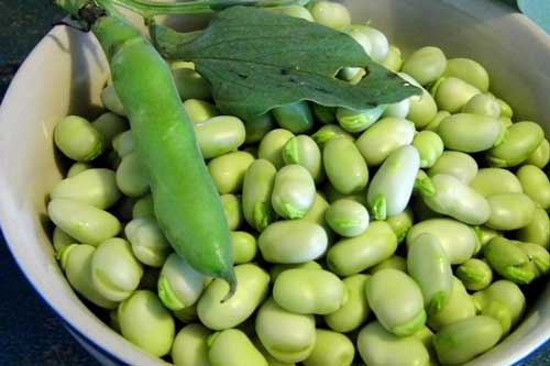 8 loại rau củ không nấu kỹ sẽ gây ngộ độc cơ thể