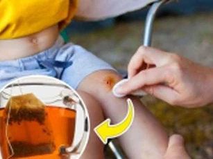 8 công dụng hữu ích của túi lọc trà nhiều người bỏ phí