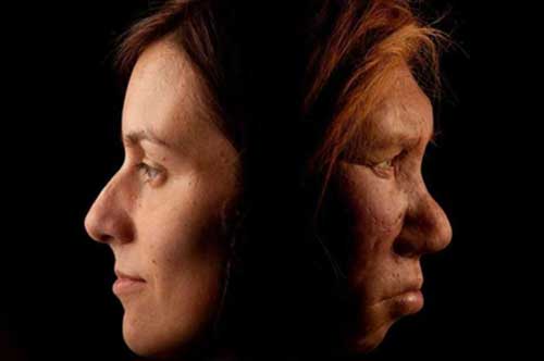 Loài người khác trỗi dậy song song chúng ta nhờ... dung nạp độc tố tốt