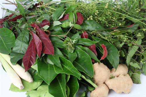 Cách nấu nồi nước lá xông hơi giải cảm hiệu quả và 3 lưu ý quan trọng nhất định phải biết