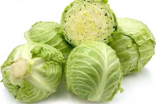 Loại rau rẻ bèo dân dã nhưng cực kỳ giàu dinh dưỡng tốt cho sức khỏe