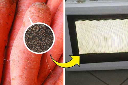 Đừng dại mà cho 6 loại thực phẩm này vào lò vi sóng, cẩn thận tai họa khó lường