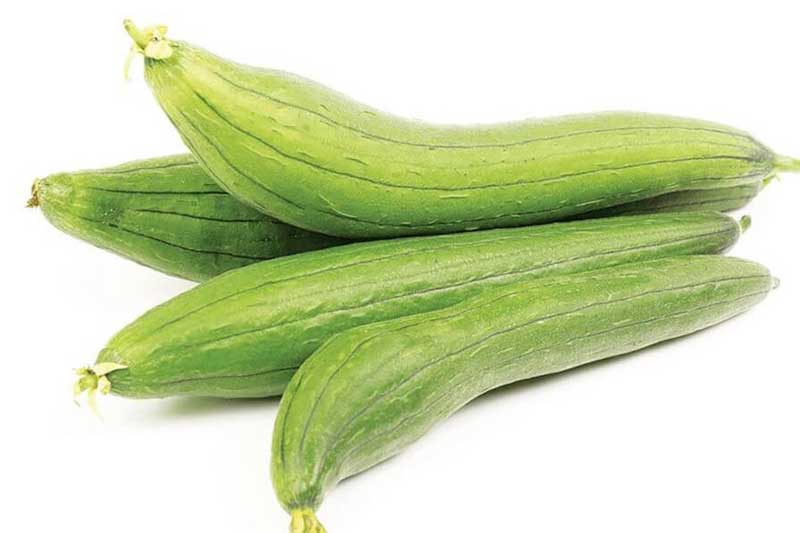 Bị những bệnh này khỏi cần tốn tiền đi viện, cứ ăn mướp là khỏi