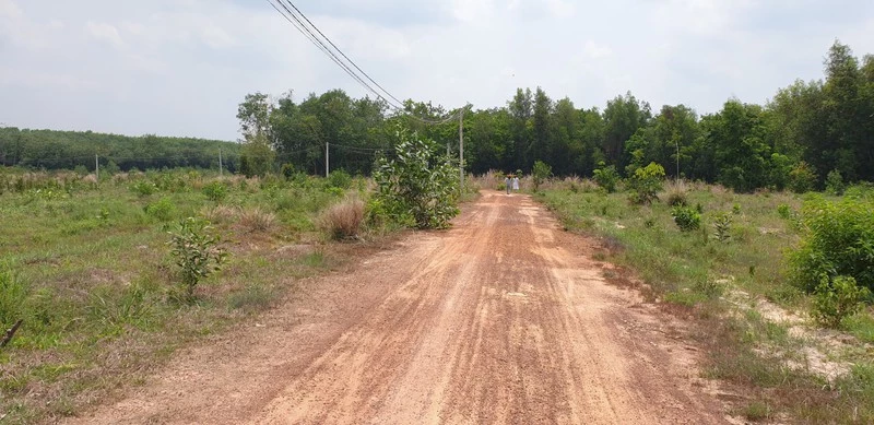 Khu đất mà công ty Kingland dùng để bẫy khách hàng.  Khu đất mà công ty Kingland dùng để bẫy khách hàng.