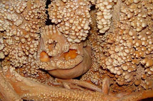 Bí ẩn người đàn ông hóa thạch trong hầm mỏ: Khác loài, 130.000 tuổi