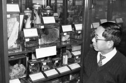 Chuyện kỳ bí về các mảnh thi thể nạn nhân ở Hiroshima