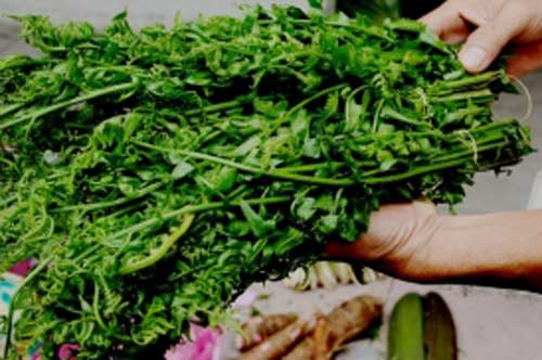 4 loại rau 'trường thọ' được cổ nhân đánh giá cao, loại số 3 mọc dại đầy đường